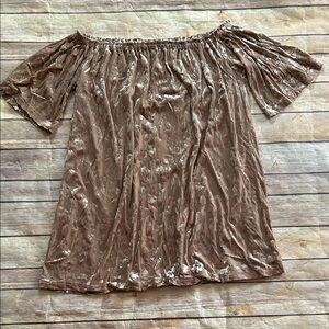 Forever 21 Brown Velvet Off-Shoulder Dress